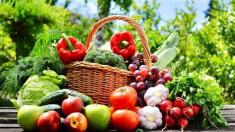Julias Fun Vegetarian Cooking Class Yelverton (7201) Naturopath 3 _small