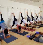 Yoga Tree Taupo Taupo (3330) Hatha Yoga 3_small