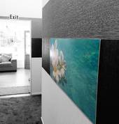 Pacific Bliss Day Spa Dunedin Central (9016) Day Spas 5_small