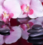 Thai-Massage-Hot-Stones