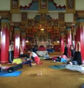 Bodhisattva Road Yoga Silverdale (0932) Iyengar Yoga 2_small