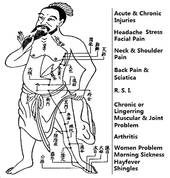 Traditinal Chinese Medicine