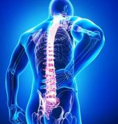 OM MASSAGE THERAPY Takaro (4412) Sports Massage 3_small