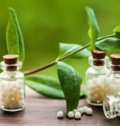 Synergy Homeopathy Matamata (3400) Homeopath 2_small