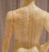 ThinkQi Kelburn (6012) Acupuncture 1_small