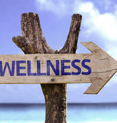 MindBody Wellness