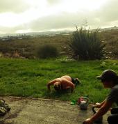 Fit Dynamix - Waterview & Avondale Fitness Bootcamp Waterview (1026) Meditation 3_small