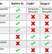 Stallion XL NZ Christchurch Central (8011) Bodybuilding 2_small