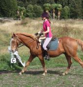 Abi's Natural Horsemanship and Riding School Lincoln (7608) Boxing Personal Trainers 3_small