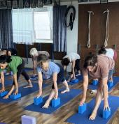 Iyengar Yoga Centre of Auckland - Grey Lynn Grey Lynn (1010) Hatha Yoga 3_small