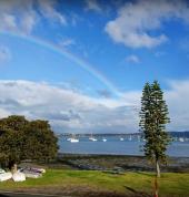 Halcyon Acupuncture Omokoroa (3114) Acupuncture 2_small