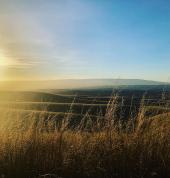 Harriet Naturopathy based in the heart of Central Otago