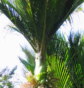 Clinic in peaceful location