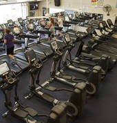 The Cardio studio includes a wide range of stationary bikes, treadmills, cross trainers and rowing machines