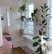 Barefoot Yoga Ashburton (7700) Vinyasa Yoga 3_small