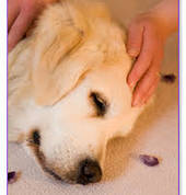 Soul Star Healing Waihi (3610) Crystal Healing 2_small