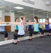 Barrefigure Grey Lynn (1021) Barre 1_small