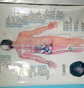 Green and Nature Therapy Sandringham (1025) Chinese Massage 4_small