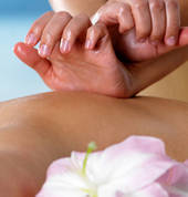 Massage Tasman Motueka (7120) Hawaiian Massage 1_small