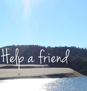 My Wise Bundles - Help A Friend