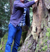 Robert and the Redwoods