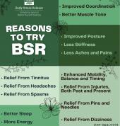 Reasons to try BSR