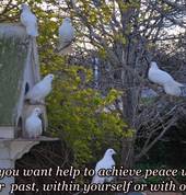 relationship counselling - individuals + childhood issues