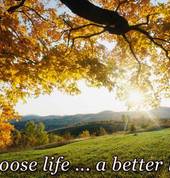 Make your choice for a better life - Christian Counselling