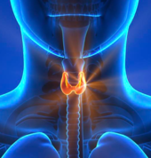Infrared Light Therapy: Underactive Thyroid Natural therapy