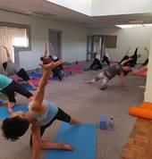 Wild thing in Whanganui