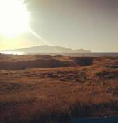 Peka Peka, Waikanae - our new studio will be ready by summer 2017