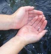 Reiki was Japanese art. Reiki is hands healing.