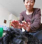 My pet likes REIKI.