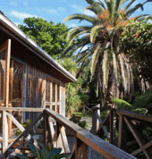 Crispin Balfour mnzap Grey Lynn (1022) Grief 1_small