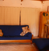 Crispin Balfour mnzap Grey Lynn (1022) Grief 4_small