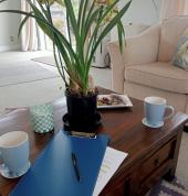 The office - busy coaching