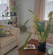 The office - a relaxing seting to transform lives