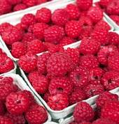 Nutrition Plus Bay of Plenty Papamoa Beach (3118) Nutritionists 2_small