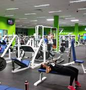A wide variety of free weights and assisted machines