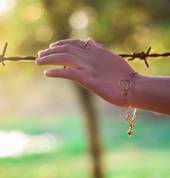 My Dawning Light Napier South (4110) Reiki 5_small