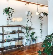 Wyld Chiropractic Herne Bay (1011) Rehabilitation Chiropractors 2_small