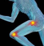 Pip Charlton Soft Tissue Therapist Otumoetai (3110) Sports Massage 6_small