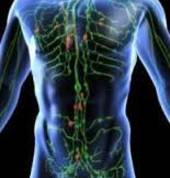 Pip Charlton Soft Tissue Therapist Otumoetai (3110) Sports Massage 8_small