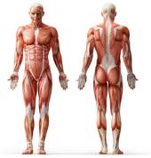 Conditions affecting function, mobility and balance