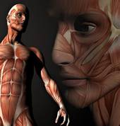 Headaches and migraines