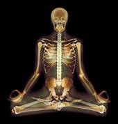 Comprehensive therapeutic services