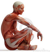 Depression, mood disorders & sleep disorders