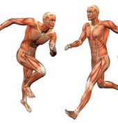 Injury, including whiplash & sport injuries