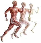 Repetitive strain injury