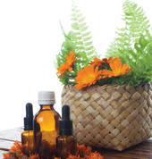 Maintaining Your Health (Whakatikatika Oranga) Taradale (4112) Reflexology 1_small